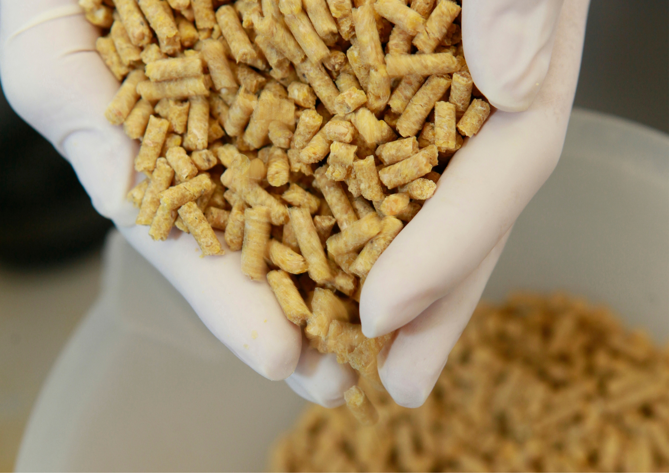 C8-C10 (Caprylic-Capric) Oleo Misr